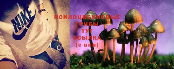 бутират Новодвинск