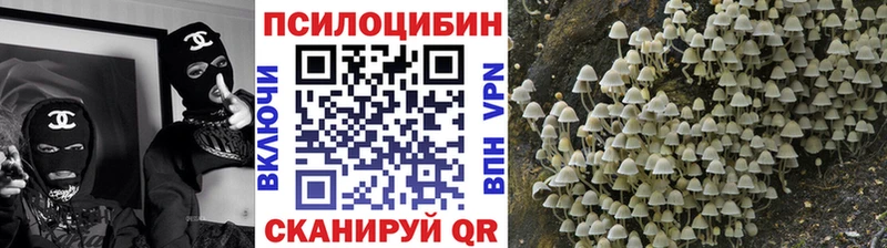KRAKEN маркетплейс наркотики Ковылкино Псилоцибиновые грибы Psilocybe